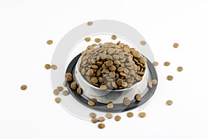 Cat and dog food on the white background