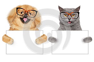 Cat and Dog in glasses hold paws white banner