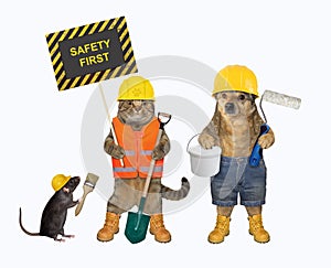 Cat and dog hold poster safety first