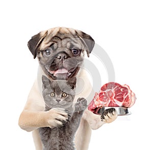 Cat and dog holding bowl of raw meat. isolated on white background