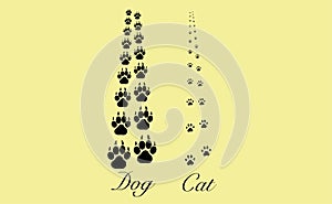 Cat and dog paws