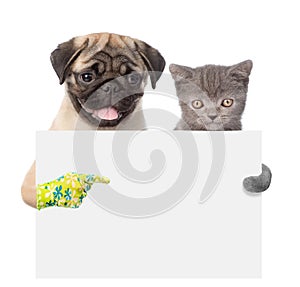 Cat and Dog peeking from behind empty board and points on empty banner. isolated on white background