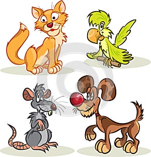 Cat, dog, rat, parrot