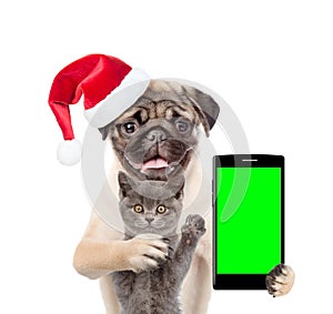 Cat and dog in red christmas hat with smartphone. Isolated on white background