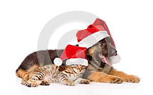 Cat and dog in red christmas hats lying together. isolated on white background