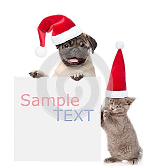 Cat and Dog with red christmas hats peeking from behind empty board and looking at camera. isolated on white background