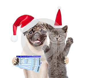 Cat and dog in red christmas hats with tickets. isolated on white background