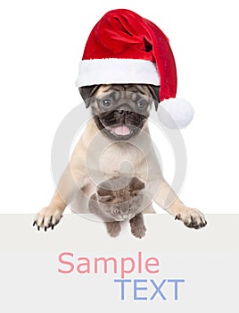 Cat and Dog with red Santa Claus hat above white banner. isolated on white