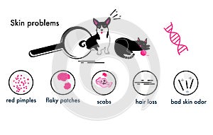 Cat and Dog skin problems.Infographic icons with different symptoms,allergy,itching and scabs.Feline,canine health.