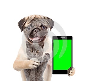 Cat and dog with smartphone. Isolated on white background