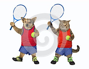 Cat and dog are tennis players