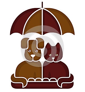 Cat and dog under an umbrella