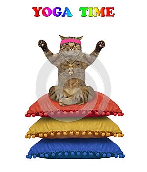 Cat doing yoga on pillows