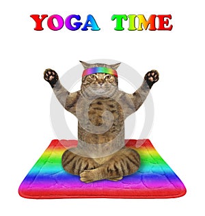 Cat doing yoga practice 3