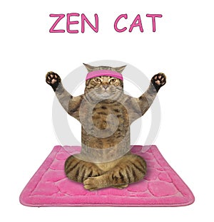 Cat doing yoga practice 4