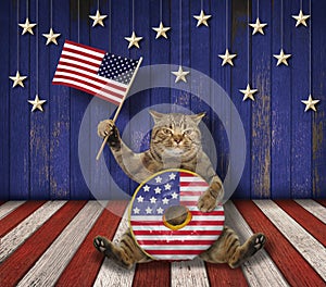 Cat with donut and flag on stage