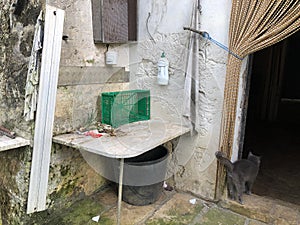 Gato sobre el puerta en abandonado casa de campo 