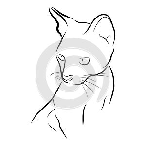 Cat drawing doodles in abstract hand drawn style, black line art