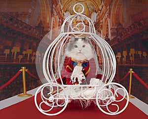 The cat dressed as a duke is riding in a carriage