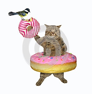 Cat dressed with pink donut at waist