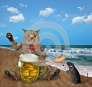 Cat drinks beer from mug on beach 3