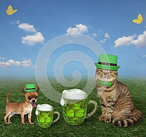 Cat drinks green beer on meadow 2