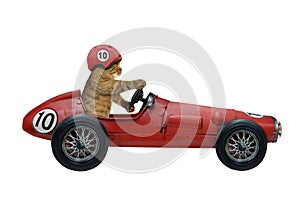 Cat drives retro red sports car