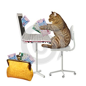 Cat earns hryvnia from laptop