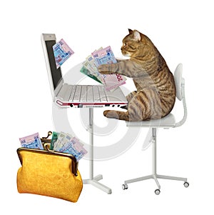 Cat earns hryvnia from laptop photo