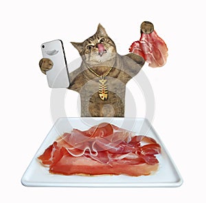 Cat eating slices of raw meat 3