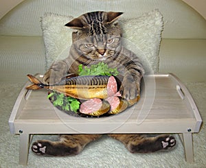 Cat eats stuffed fish from a bed tray