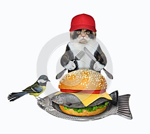 Cat eats from fish shaped plate 2