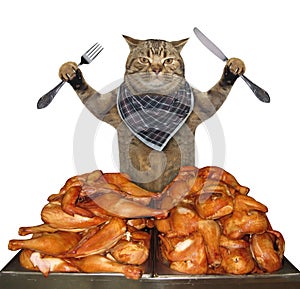 Cat eats grilled chicken legs 2