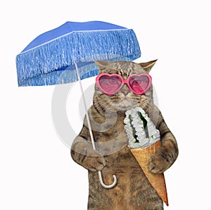 Cat eats ice cream under an umbrella 2