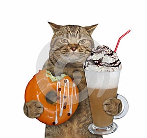 Cat eats orange donut with cappuccino 3