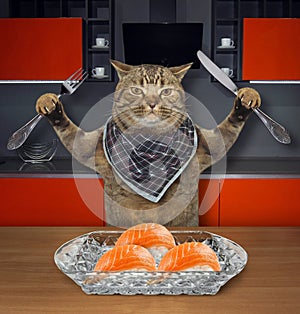 Cat eats sushi in the kitchen 2
