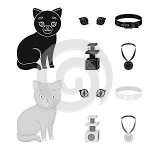 Cat eyes, a collar, a house for a cat, a medal on a ribbon.Cat set collection icons in black,monochrom style vector