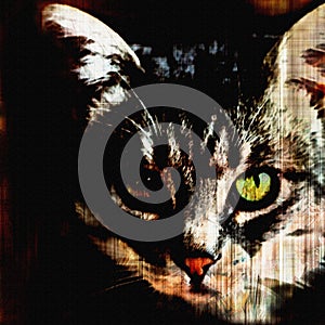 Cat face with green eye on grunge striped black background