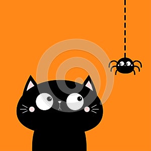 Cat face head looking at hanging spider insect. Cute cartoon character icon. Kawaii baby animal. Happy Halloween. Notebook cover,