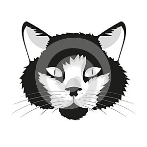 Cat face illustration