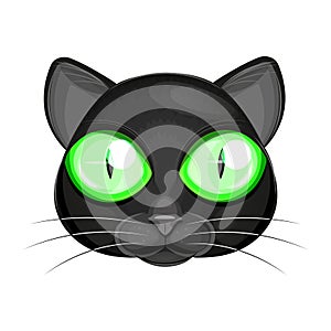 Cat face illustration