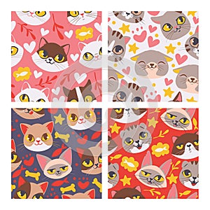 Cat face seamless patten vector illustartion. Cute cartoon pet heads background.. Lovely kittens with fish and bones photo