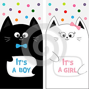 Cat family couple with bow. Flyer poster set. Cute funny cartoon character. Its a boy girl. Baby shower greeting card. Flat design