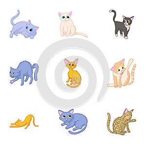 Cat family icons set, cartoon style