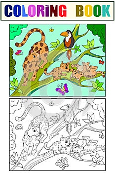 Cat family, mom lynx and kittens set children coloring book and color picture.