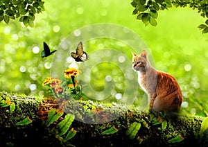 A cat in the fantasy world stands on a tree trunk with a butterfly against a backdrop of green pastures with flowers and fresh photo