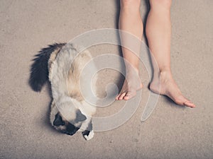 Cat and feet of young woman on carpet