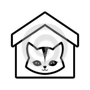 cat feline curious small house pet outline