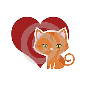 cat feline curious small red heart