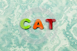 Cat feline pet animal spell preschool children letters